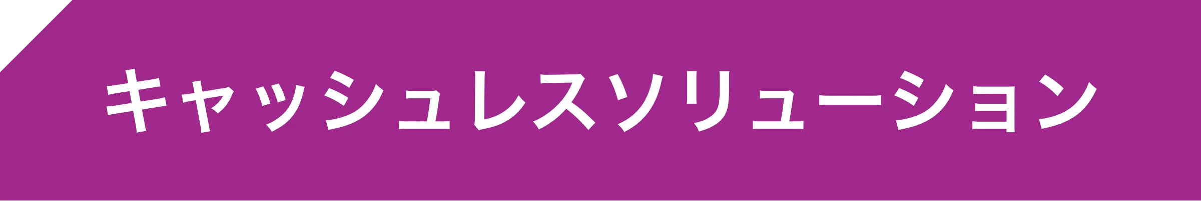 キャッシュレスソリューション